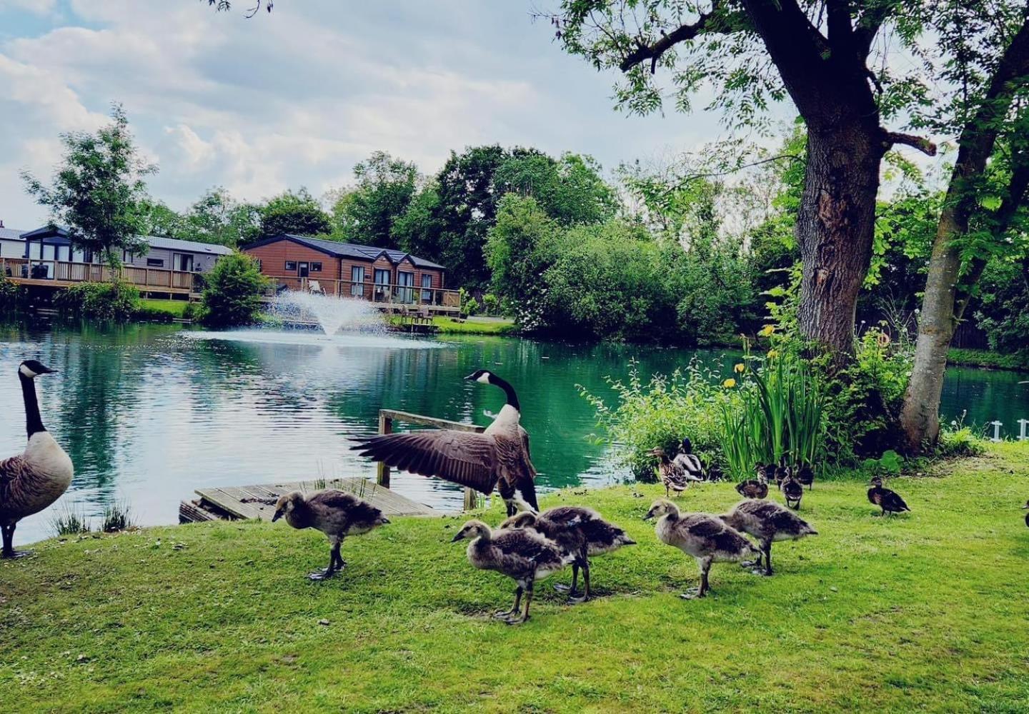 Hot Tub Lodge - York - Fishing Lakes - Free Parking - 5 Star Country Park - 5 Little Habton Exterior photo